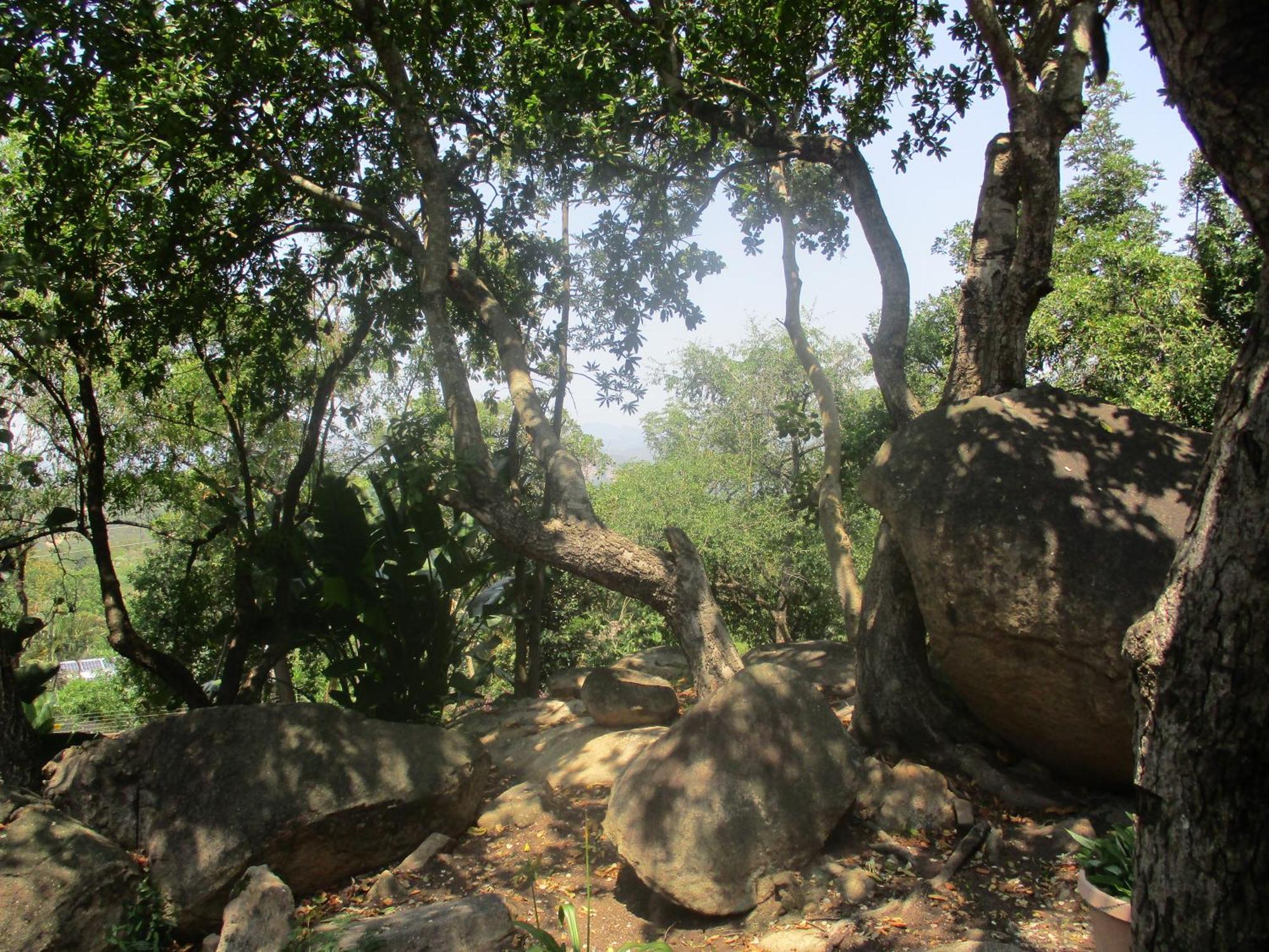 Leopard Tree Retreat Villa Mbombela Eksteriør billede