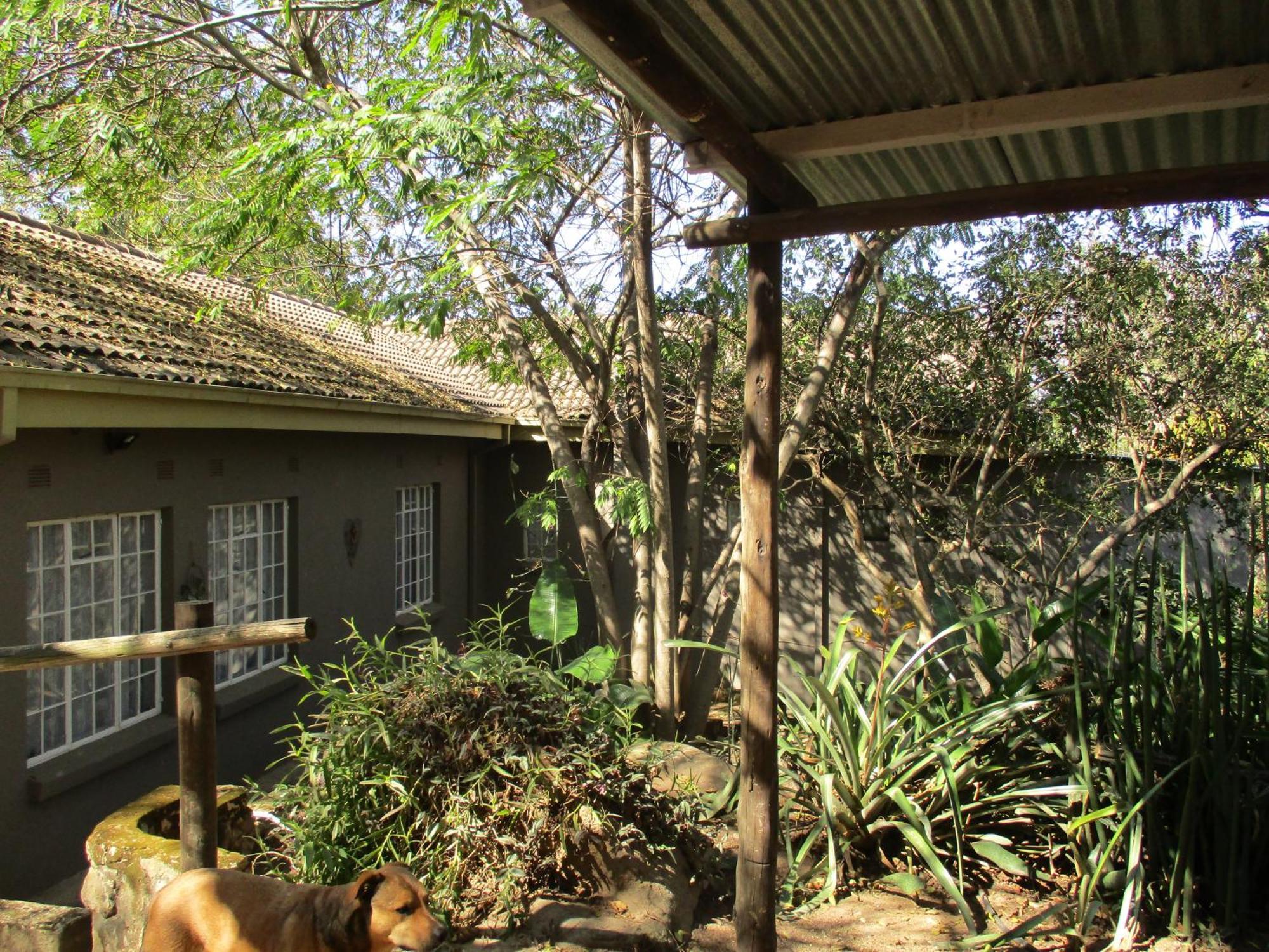 Leopard Tree Retreat Villa Mbombela Eksteriør billede