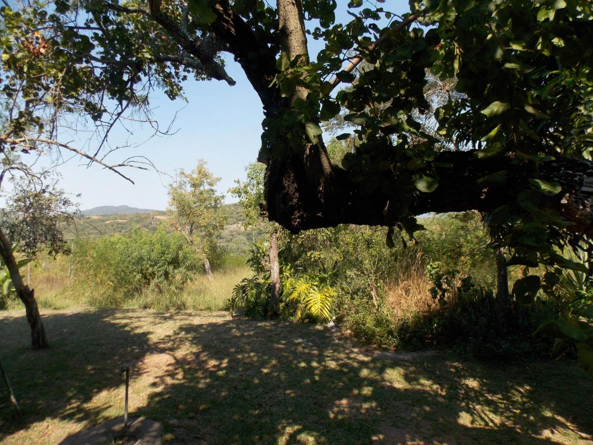 Leopard Tree Retreat Villa Mbombela Eksteriør billede