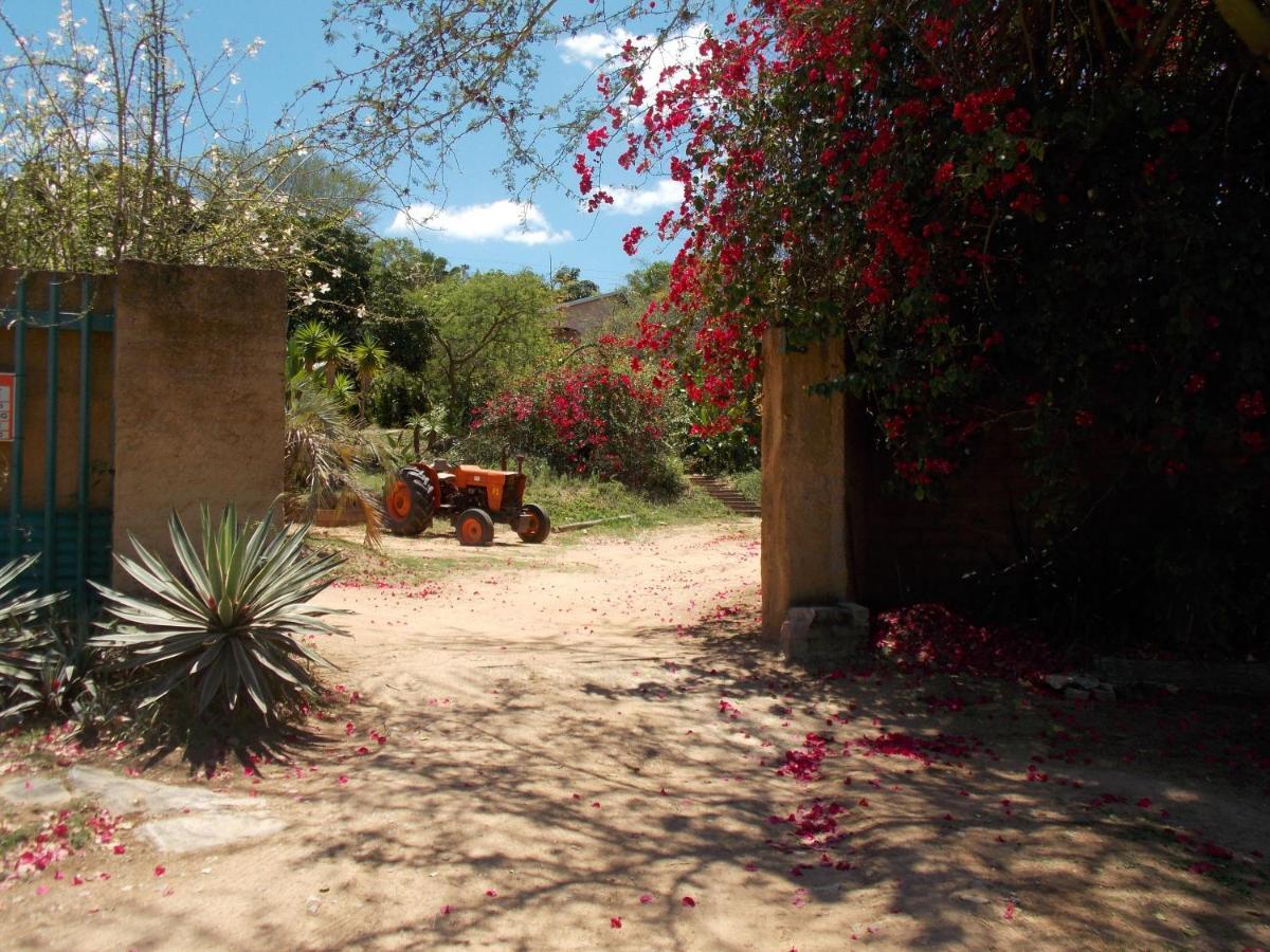 Leopard Tree Retreat Villa Mbombela Eksteriør billede